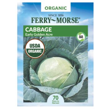FERRYMORSE 100% ORGANIC CABBAGE EARLY GOLDEN ACRE