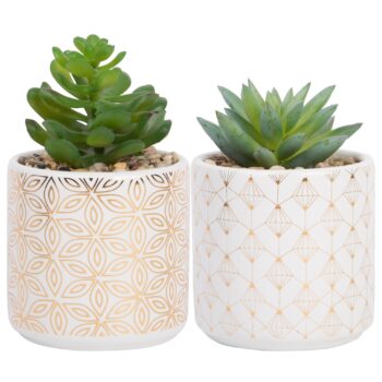 ASST GOLD GEO SUCCULENTS