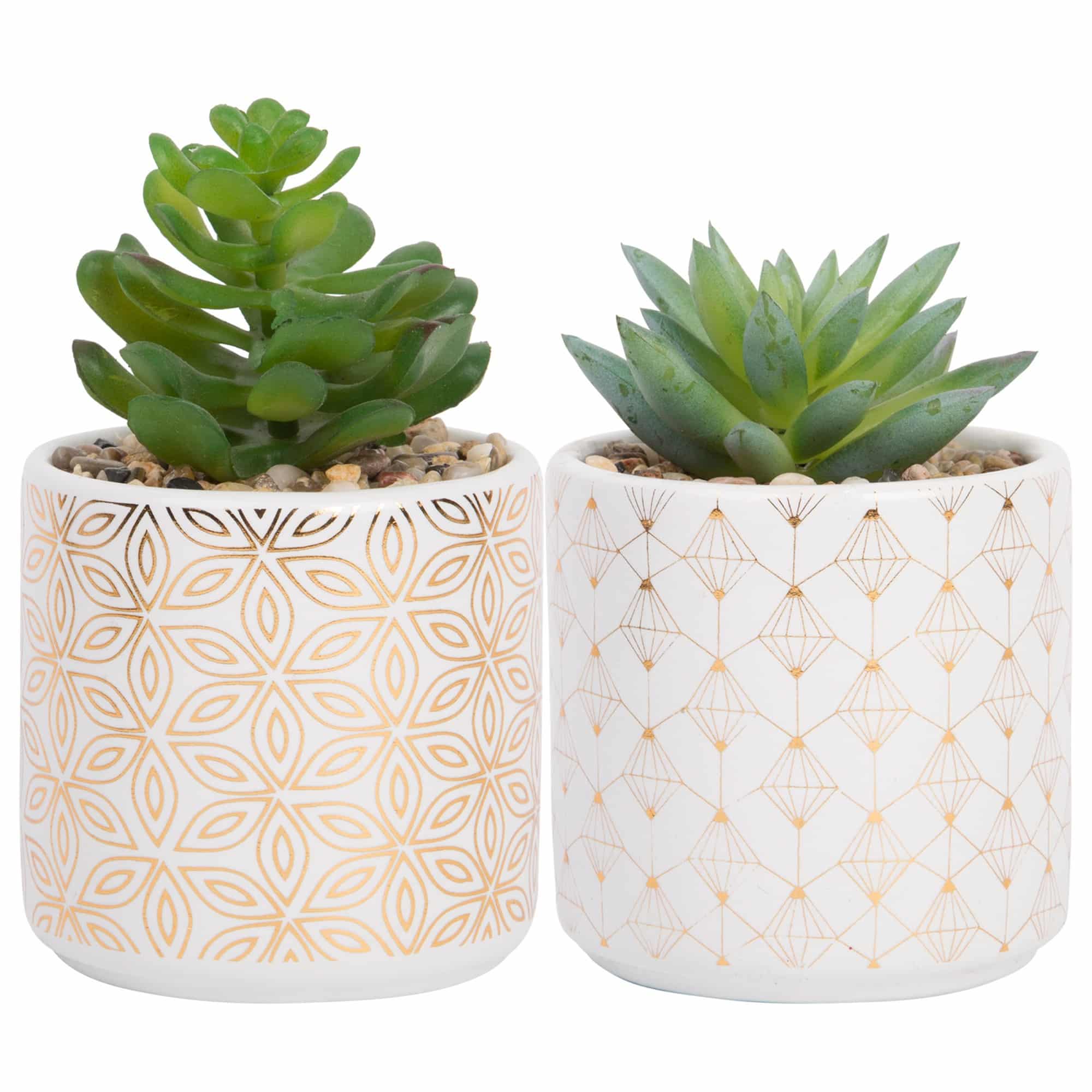 ASST GOLD GEO SUCCULENTS