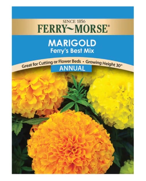 MARIGOLD FERRY'S BEST MIX COLOURS - Image 2