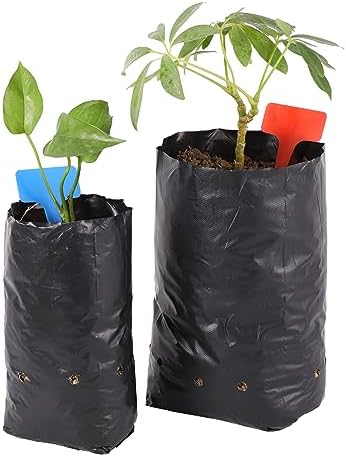 PLANT BAG PLASTIC 13X15"