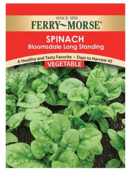 SPINACH- BLOOMSDALE LONG STANDING